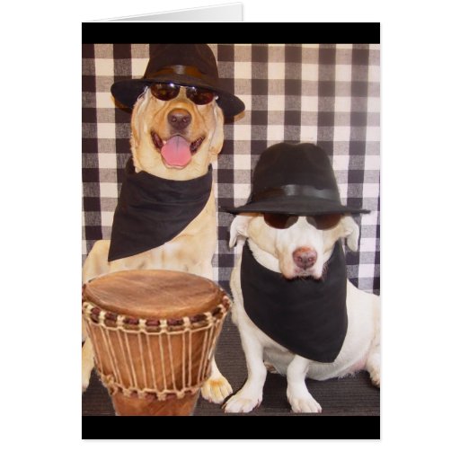 Blues Brothers Labs Card