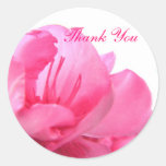 Blushing Pink - Thank You Round Stickers
