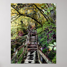 Boardwalk in the Park Posters