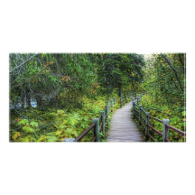 Boardwalk through Woods Customized Photo Card