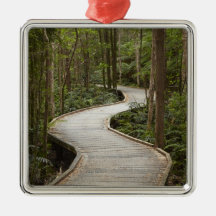 Boardwalk to Nelson Falls, Franklin - Gordon Christmas Tree Ornament