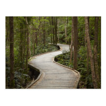 Boardwalk to Nelson Falls, Franklin - Gordon Postcards