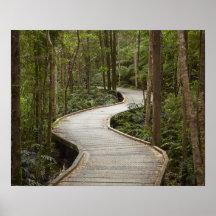 Boardwalk to Nelson Falls, Franklin - Gordon Posters