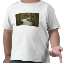 Boardwalk to Nelson Falls, Franklin - Gordon Tees