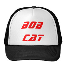 bob cat hot mesh hats