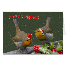 Bobbin' Robins Christmas Card