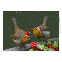 Bobbin' Robins Christmas Card (blank message)