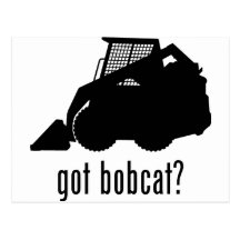 Bobcat Postcards