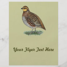 Bobwhite Quail Hen Full Color Flyer