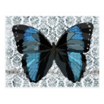 Boho Blue Butterfly Damask Postcard