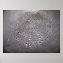 Boiling Print