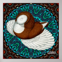 Bokhara Pigeon Fancy Posters