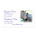 Bold Zebra  Business Cards