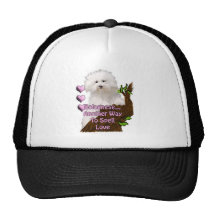 Bolognese or Havanese puppy Hats