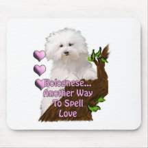 Bolognese or Havanese puppy Mouse Pad