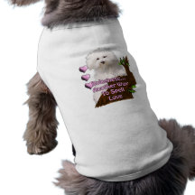 Bolognese or Havanese puppy Pet T-shirt