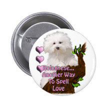 Bolognese or Havanese puppy Pinback Buttons