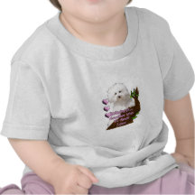 Bolognese or Havanese puppy Tshirts