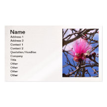 Bombax Blossom Business Card Templates