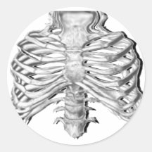 bones stickers