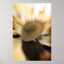 Bonnets II Print
