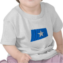Bonnie Blue Flag / West Florida Republic Flag Tshirt