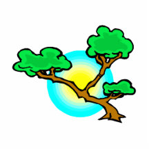 Bonsai Against Sun Abstract Graphic Image Photo Cutout