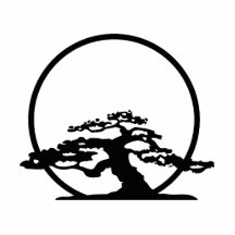 Bonsai against sun outline image graphic design photo sculptures