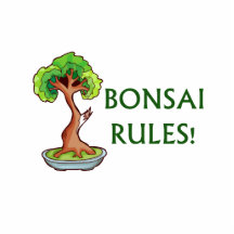 Bonsai Rules Shari Tree Graphic and text design Photo Cutout