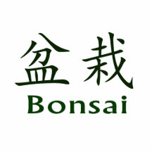 Bonsai Text In Japanese Kaiti and English Green Photo Sculpture
