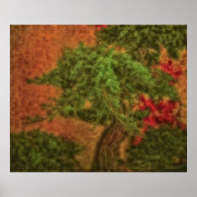 Bonsai Textures Posters