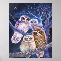 Boobook Owl Family. Posters