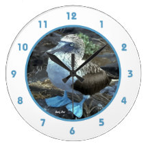 Booby Bird Wallclock