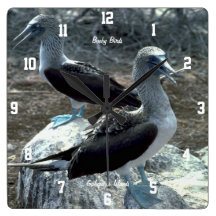 Booby Birds Square Wall Clocks