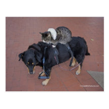 Booger, Kitty, and Mousey on State Street Post Card