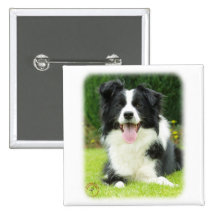 Border Collie 9A014D-14 Buttons