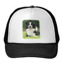 Border Collie 9A014D-14 Mesh Hat