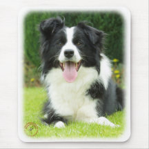 Border Collie 9A014D-14 Mouse Mat