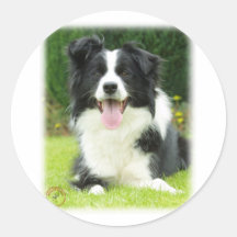 Border Collie 9A014D-14 Round Sticker