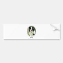 Border Collie 9A14D-19 Bumper Stickers