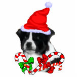 Border Collie Christmas Gifts Photo Cutout