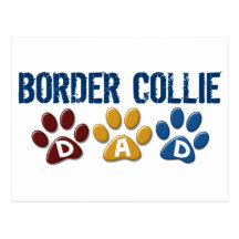 BORDER COLLIE DAD Paw Print Post Card