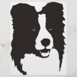 Border Collie Full Colour Flyer