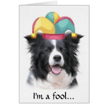 Border Collie Greeting Card~April Fool's Day