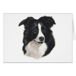 Border Collie Portrait Cards