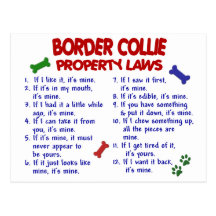 BORDER COLLIE Property Laws 2 Post Cards