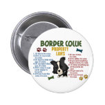 Border Collie Property Laws 4 Pins