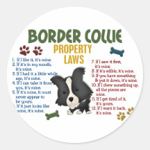 Border Collie Property Laws 4 Round Stickers