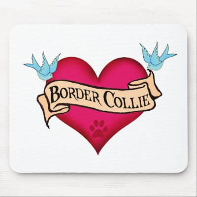 Border Collie Tattoo