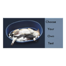 Border Collies - Dixie/Tipper sleeping Picture Card